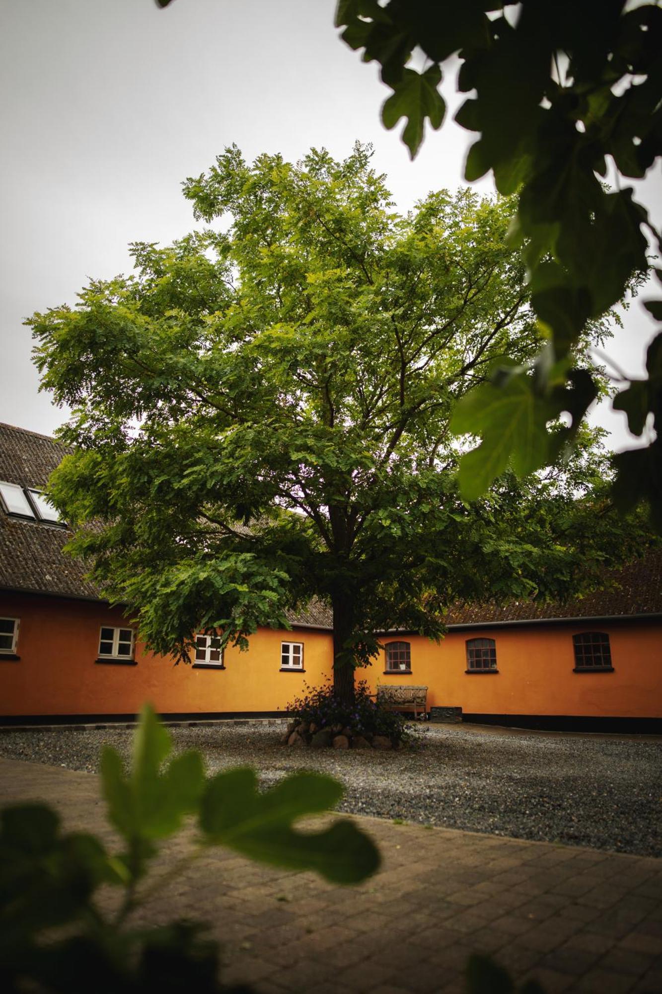 Akaciegaarden Bed & Breakfast Harlev  Zewnętrze zdjęcie